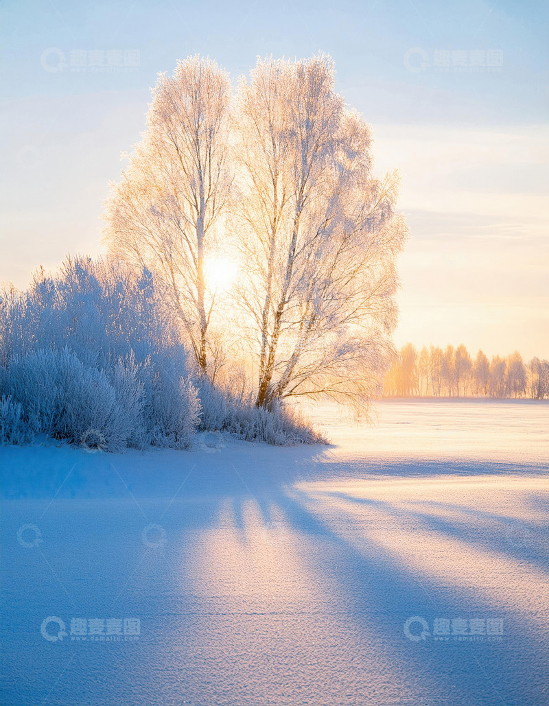 高清大图下载【趣麦麦图】阳光雾凇雪地景