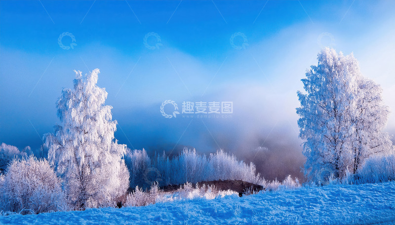高清大图下载【趣麦麦图】蓝天下，几棵高大的树木被厚厚的雾凇包裹，宛如冰雪雕琢的艺术品，在阳光的映照下闪烁着晶莹的光泽。远处，雾气弥漫，给整个场景增添了一层朦胧的美感，营造出一种静谧1