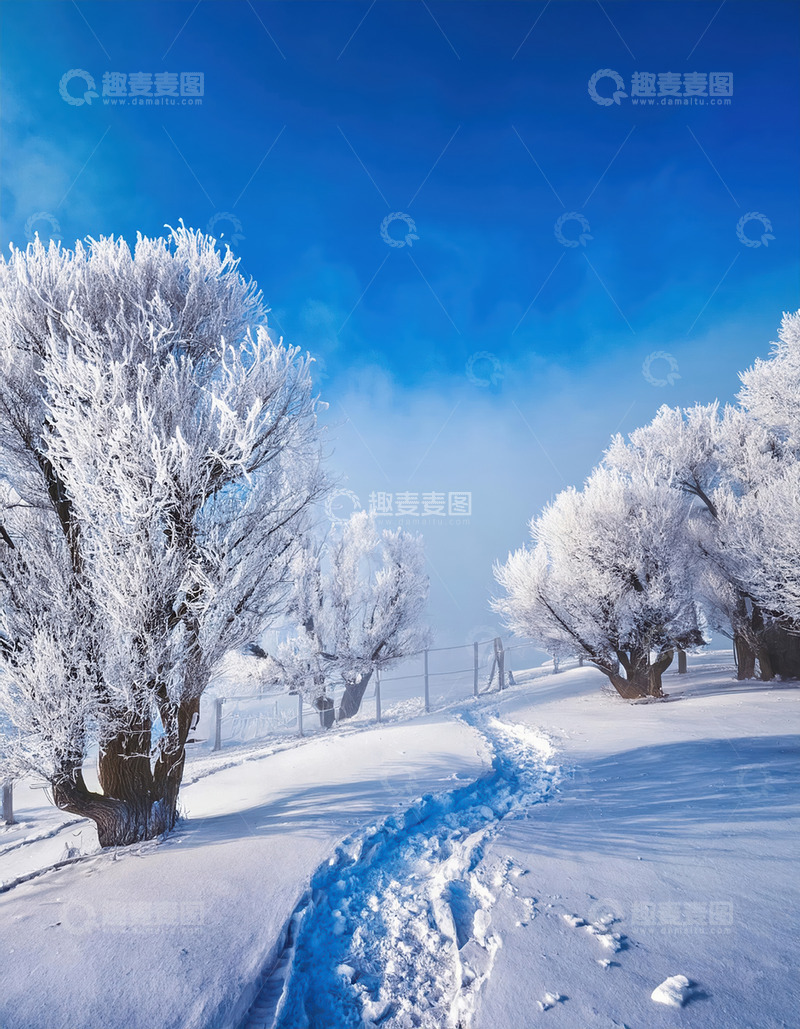 高清大图下载【趣麦麦图】冬日雾凇迷人景