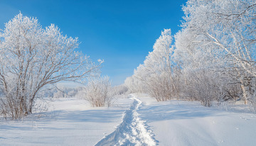 蓝天下，广袤的雪地一望无际，道路两旁的树木挂满了洁白的雾凇，形成一条美丽的雪道，树木的枝条在阳光照耀下闪烁着晶莹的光1