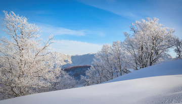 冬日的壮丽景色。蓝天之下，山坡被厚厚的积雪覆盖，呈现出柔和的曲线。远处几棵树木挂满雾凇，在阳光的映照下闪耀着晶莹的光芒，与蓝天白雪相互映衬