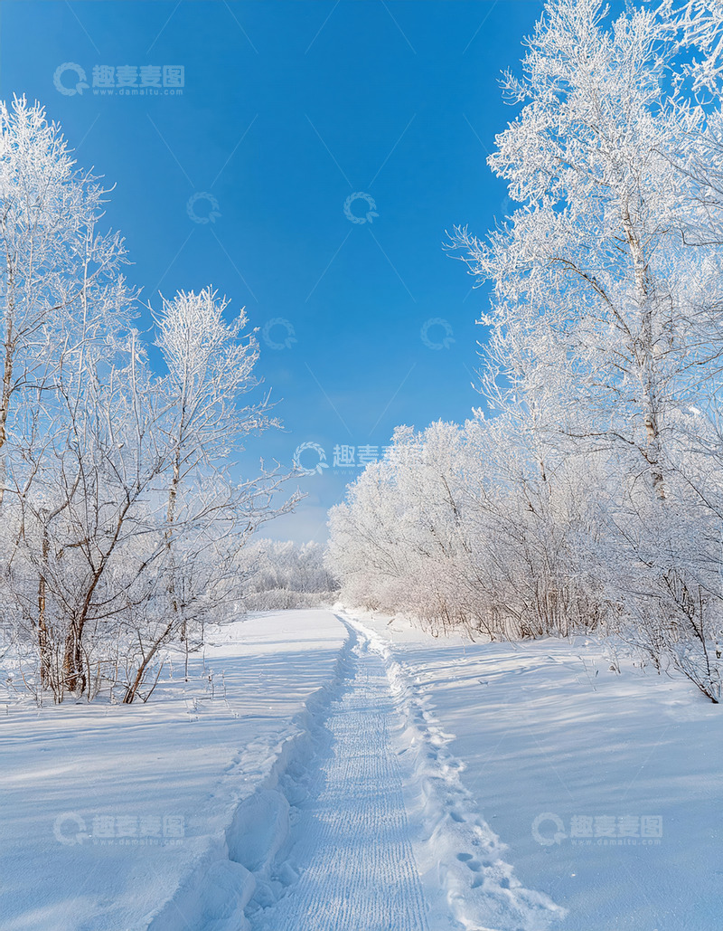 高清大图下载【趣麦麦图】蓝天之下白雪覆盖大地，树木挂满雾凇，雪地上留有车辙痕迹