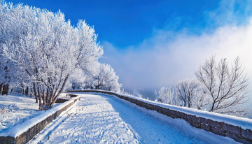 冬日的雪景，一条被积雪覆盖的道路延伸向远方，道路两旁的树木挂满雾凇，洁白晶莹，还能看到木质围栏，远处云雾缭绕，蓝天映衬，展现出静谧1