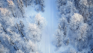 一幅冬日雾凇景象的俯瞰图。广袤的雪地上，树木被厚厚的雾凇覆盖，银白一片，一条蜿蜒的道路穿梭其中，在蓝天的映衬下，整个画面纯净2