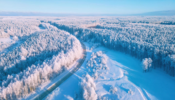 冬日被冰雪覆盖的森林景观。大片的树木挂满雾凇，白茫茫一片，一条蜿蜒的道路穿梭其中，在蓝天的映衬下，整个场景壮观而美丽，尽显冬日的纯净与静谧