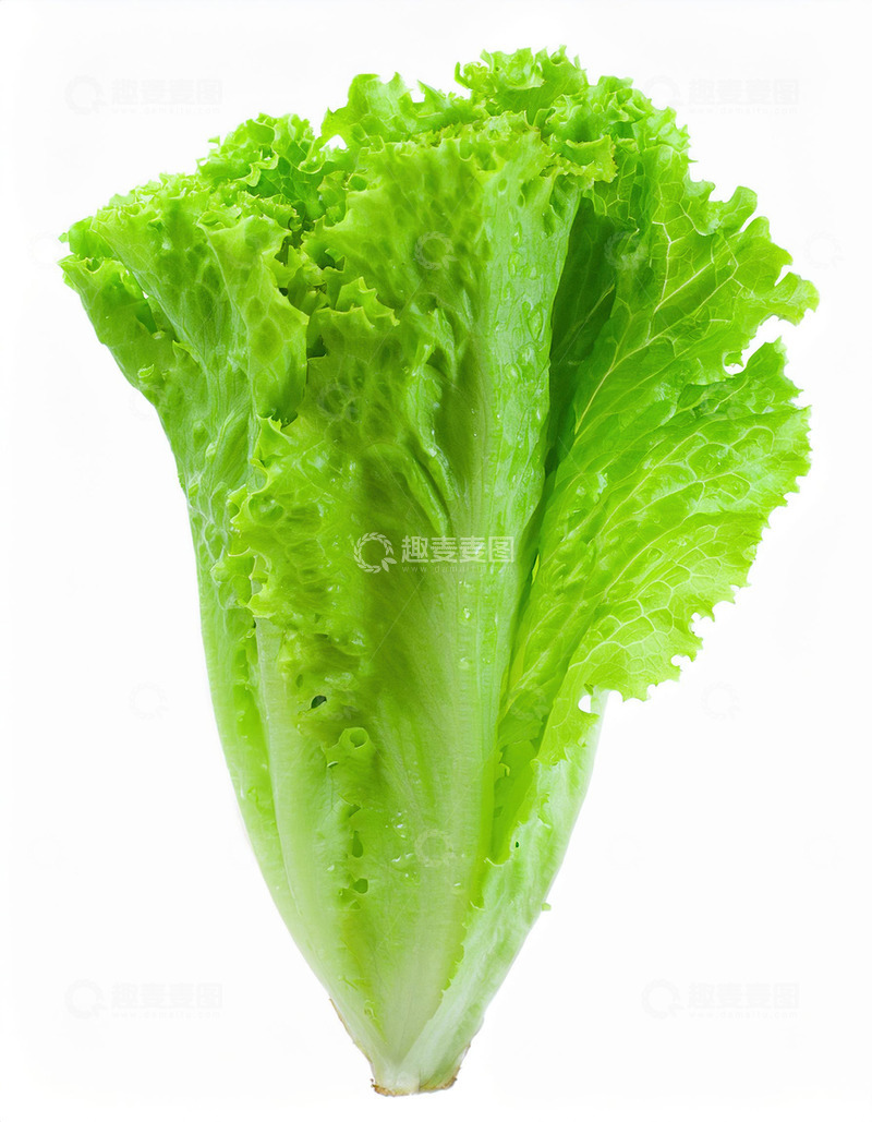 高清大图下载【趣麦麦图】美味生菜佳肴