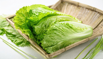 优质的生菜原料