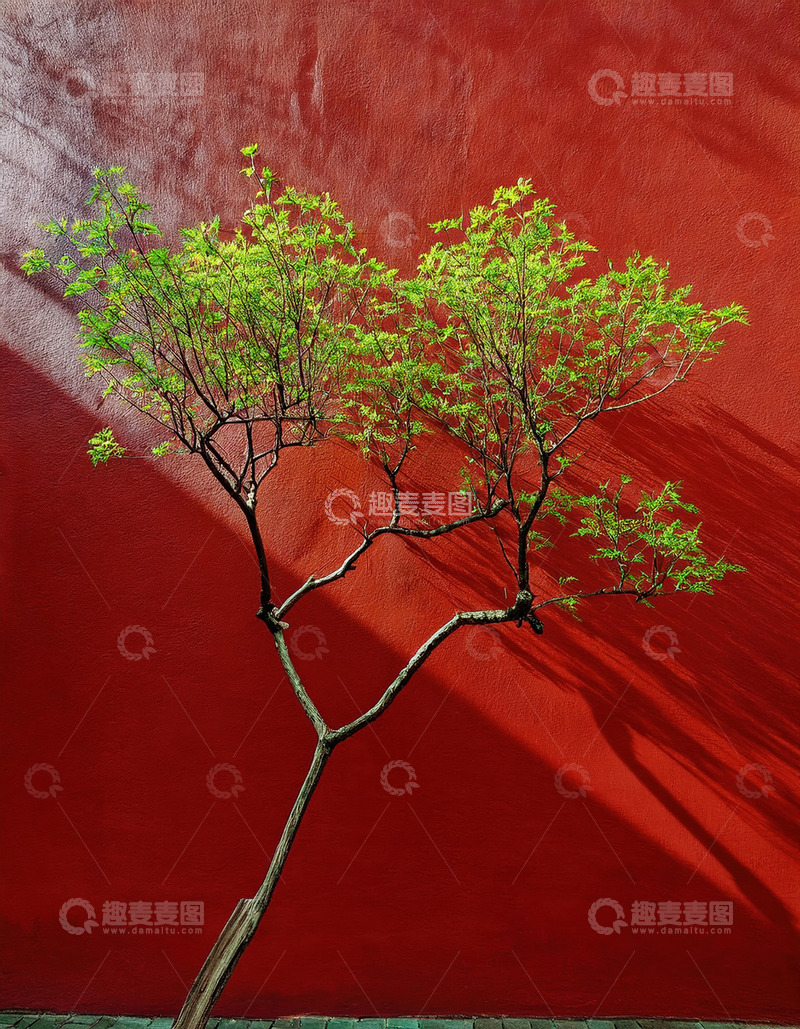 高清大图下载【趣麦麦图】紫禁城红墙绿植