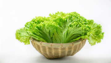 适合凉拌的生菜