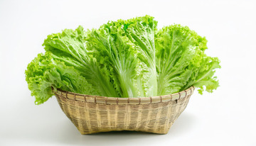 脆嫩的生菜口感