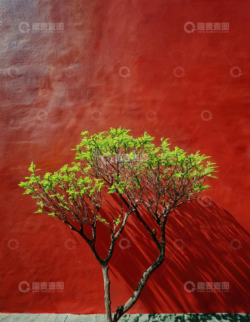 高清大图下载【趣麦麦图】光影中的紫禁树