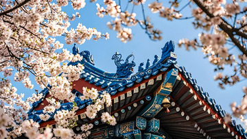 桃花中国古城立春春天摄影图