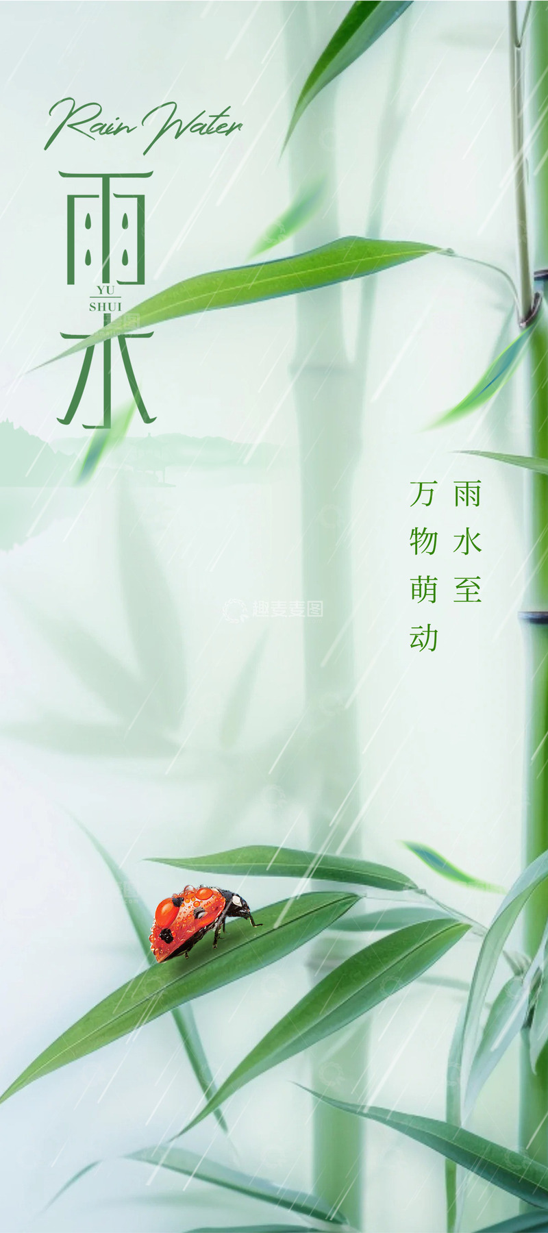雨水节气宣传海报25
