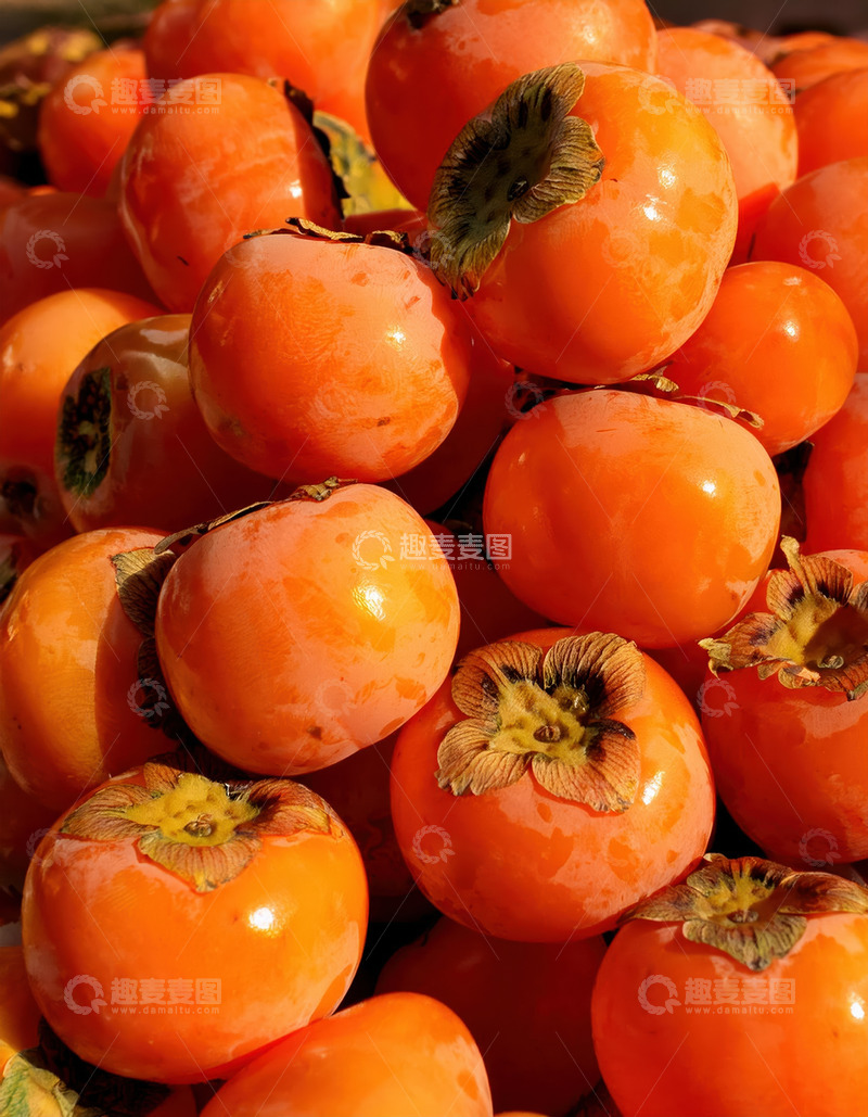 高清大图下载【趣麦麦图】橙柿堆叠，洋溢丰收甜蜜气息