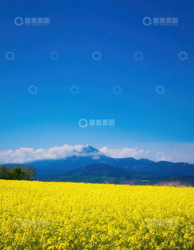 高清大图下载【趣麦麦图】油菜花海连天，远山云雾添韵