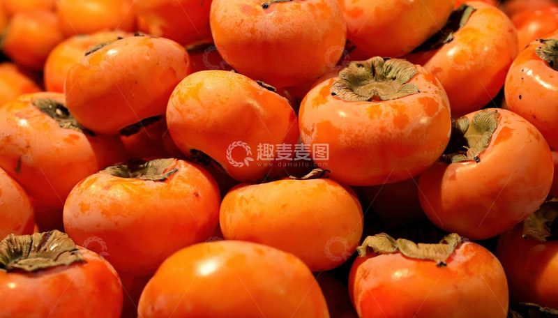 高清大图下载【趣麦麦图】饱满柿子堆，洋溢秋日甜蜜
