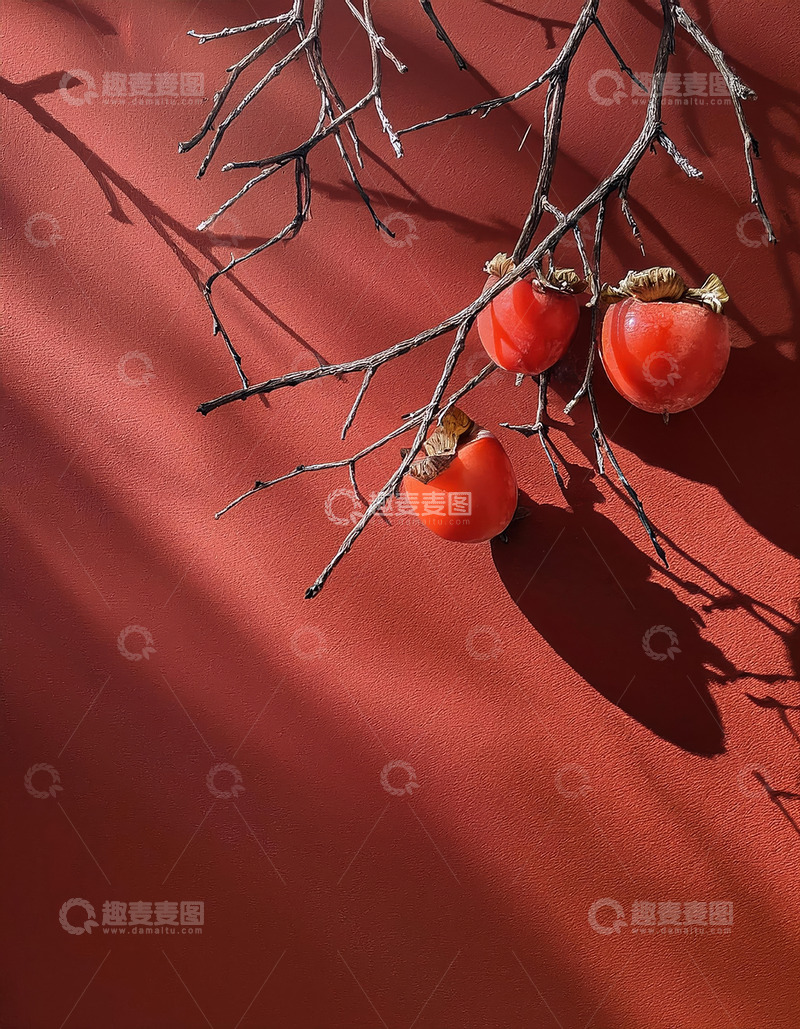 高清大图下载【趣麦麦图】红柿倚枝映红墙，秋意悠悠
