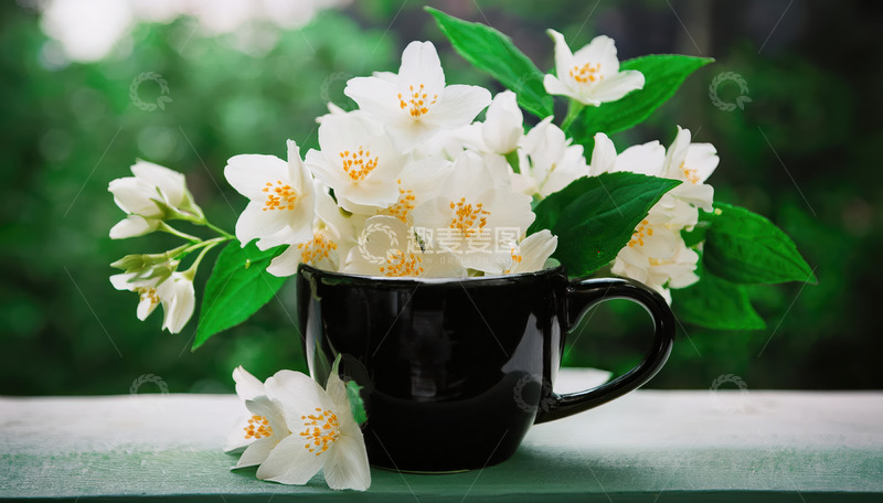 高清大图下载【趣麦麦图】黑杯盈茉莉花，绿意白花显清新
