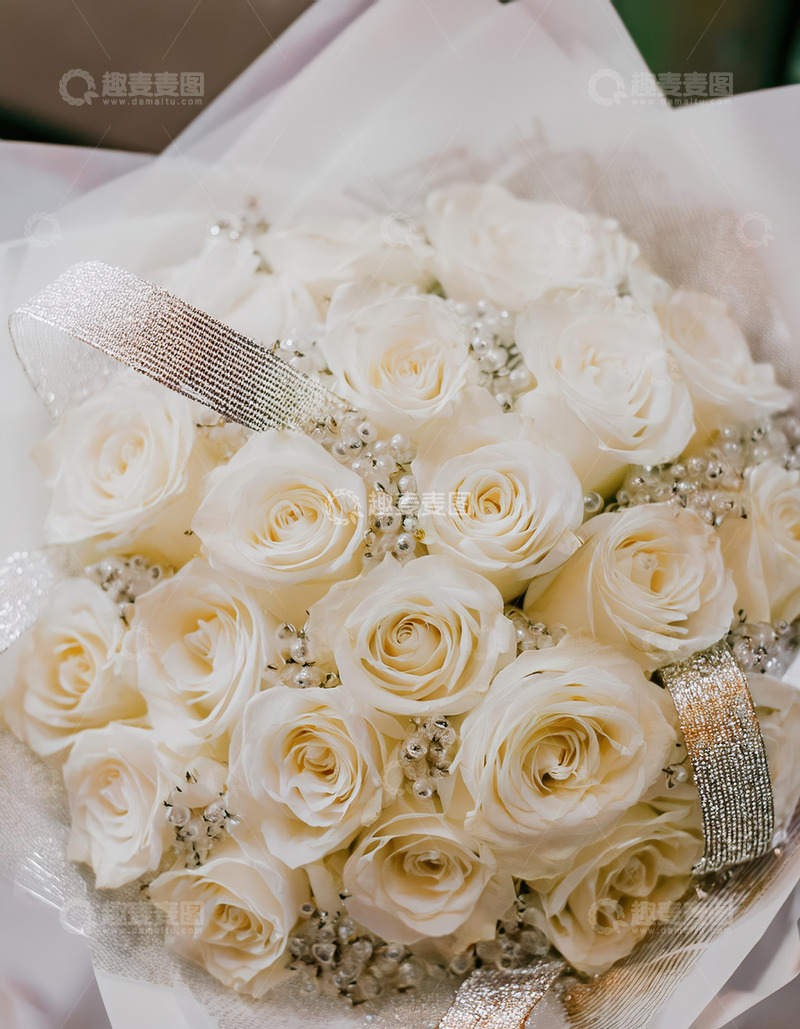 高清大图下载【趣麦麦图】白玫瑰花束，优雅浪漫绽美好