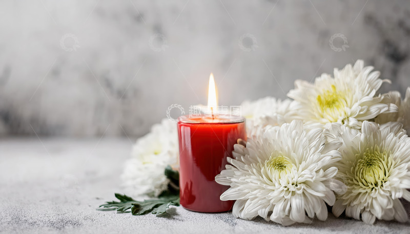 高清大图下载【趣麦麦图】红烛伴白菊，静谧氛围寄情思