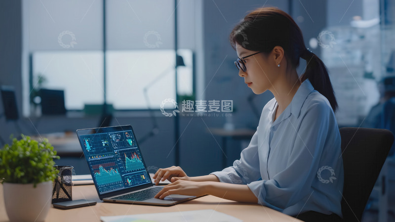 高清大图下载【趣麦麦图】职场女性专注操作笔记本电脑