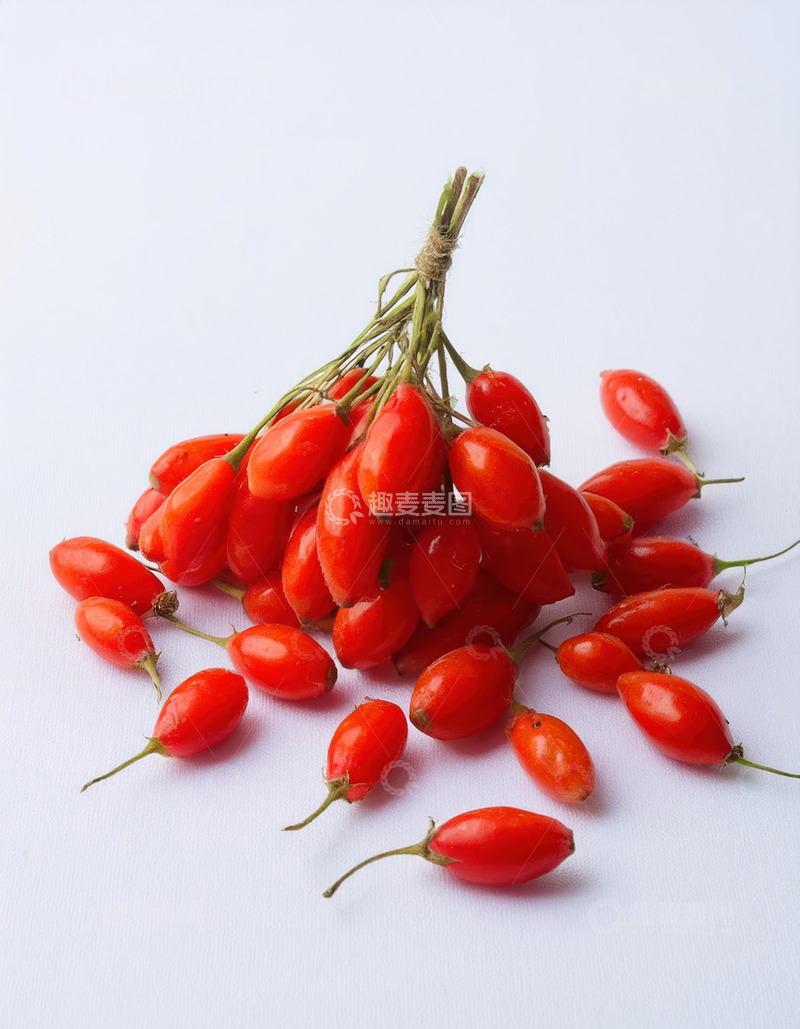 高清大图下载【趣麦麦图】鲜枸杞成簇，红果饱满诱人