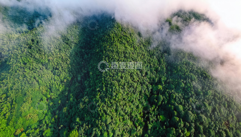 高清大图下载【趣麦麦图】云雾萦绕的繁茂山林航拍景观