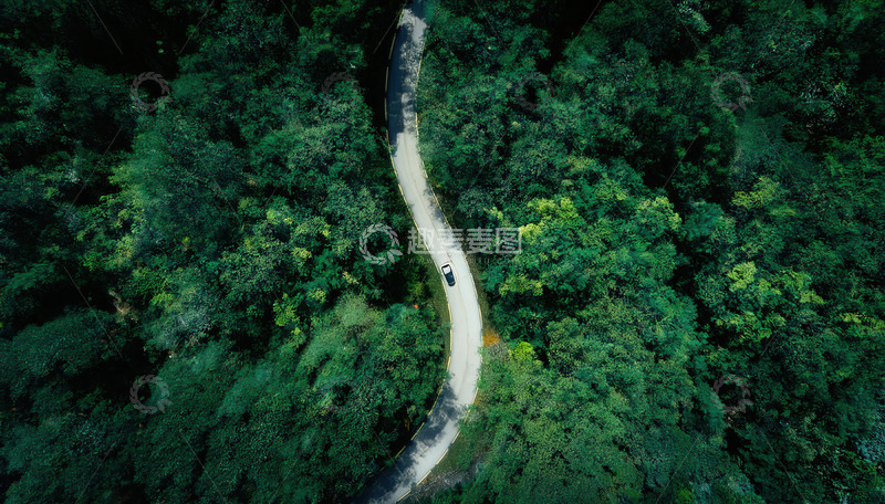 俯瞰丛林中蜿蜒穿行的公路