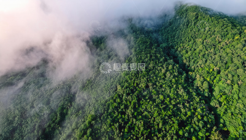 高清大图下载【趣麦麦图】云雾漫绕的葱郁山林鸟瞰景致