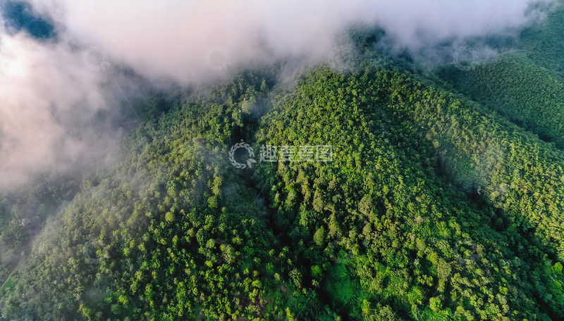 云雾缭绕的翠绿山林航拍景象
