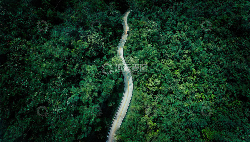 高清大图下载【趣麦麦图】俯瞰山林间蜿蜒的绿色之路