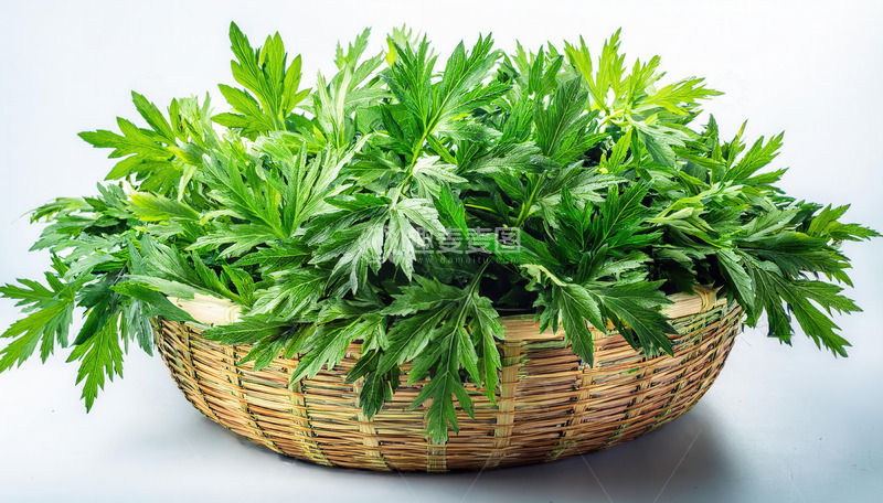 高清大图下载【趣麦麦图】竹篮盈满艾叶，尽显自然野趣