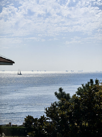 青岛海边帆船景色