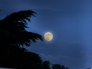 八月十五的月亮