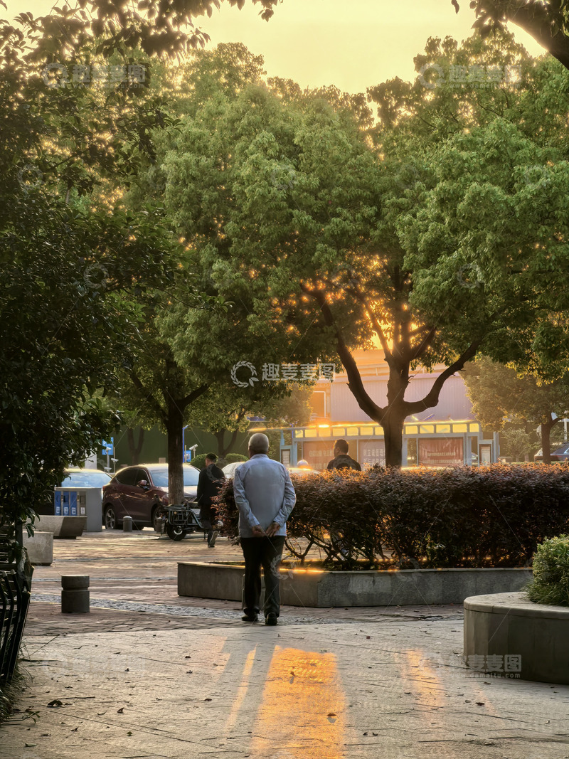 高清大图下载【趣麦麦图】悠闲的午后阳光