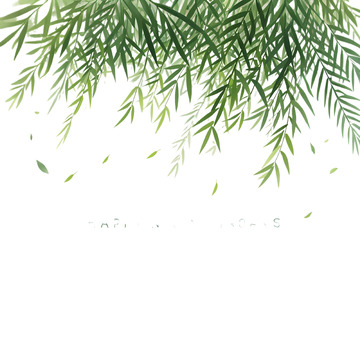 春季柳枝插画素材