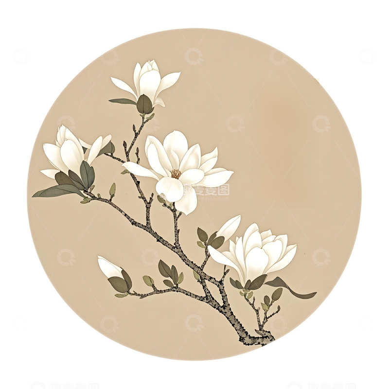 工笔画植物玉兰插画素材