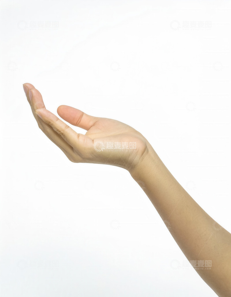 高清大图下载【趣麦麦图】手掌朝上呈邀请姿态的手势