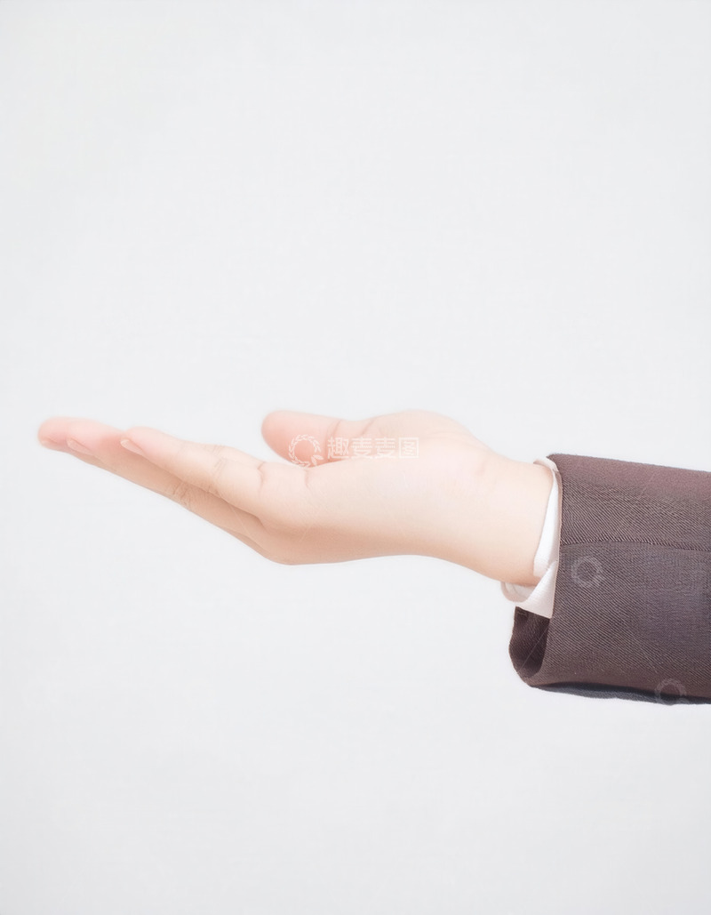 高清大图下载【趣麦麦图】商务着装下手掌摊开的示意手势