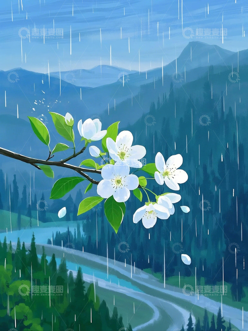 春雨  樱花  谷雨4