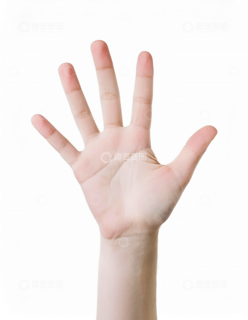 高清大图下载【趣麦麦图】手掌五指张开的简洁手势画面