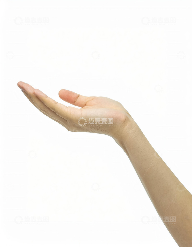 高清大图下载【趣麦麦图】手掌摊开的友好手势姿态画面