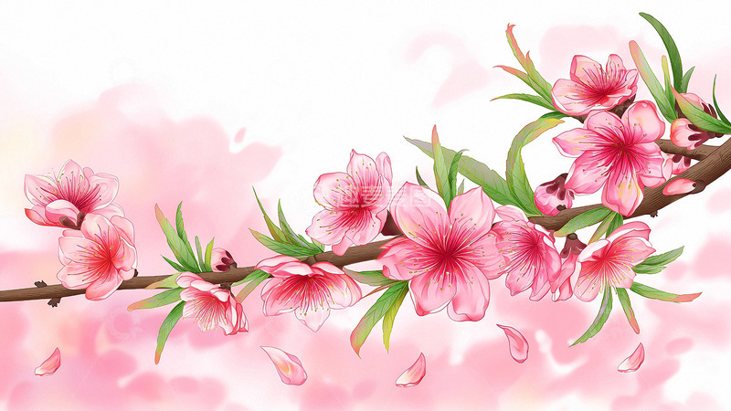 高清大图下载【趣麦麦图】春暖花开小清新植物花草花朵桃花樱花1