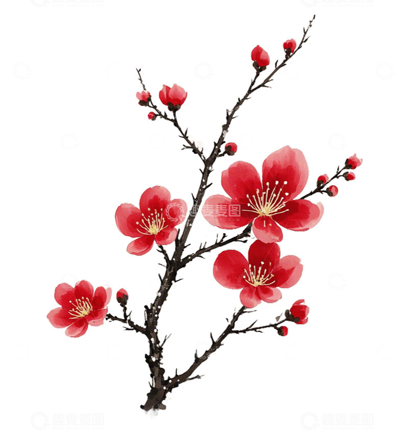 一支红梅梅花元素