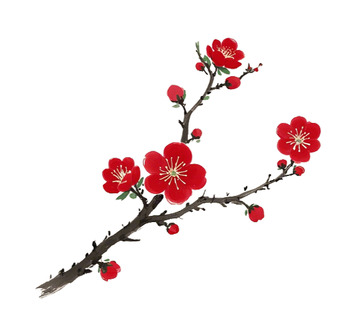 红色腊梅梅花红梅