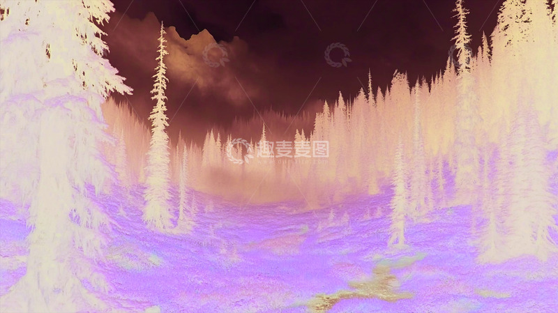 高清大图下载【趣麦麦图】森林 茂密森林 