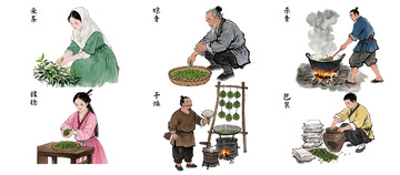 古法茶叶制作流程图