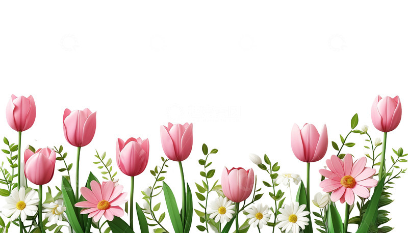 高清大图下载【趣麦麦图】免扣粉色郁金香鲜花花朵2
