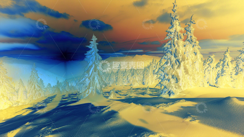 高清大图下载【趣麦麦图】-森林 雪景 大片森林 冬日森林 
