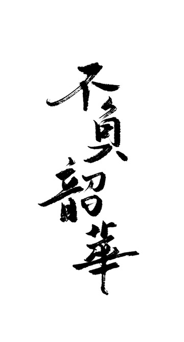中国风书法毛笔手写艺术字不负韶华
